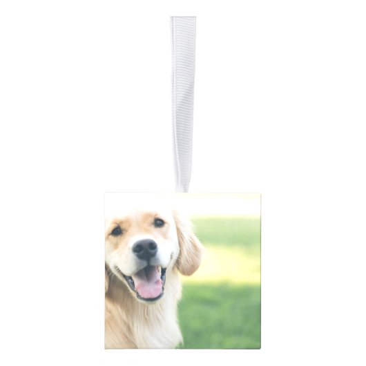 Gepersonaliseerd kerstbark Dog Geëerd Decoratie (Rechts)