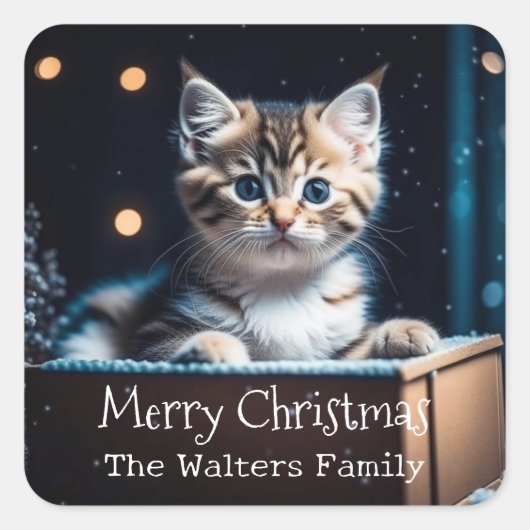 Gepersonaliseerd Kerstbericht Kerstkitten Vierkante Sticker (Voorkant)