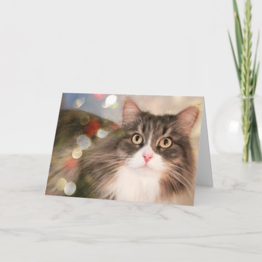 Gepersonaliseerd kerstkat vakantie Kaart (Voorkant)