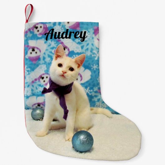 Gepersonaliseerd - Kerstmis van Audrey ( kat ) Kleine Kerstsok (Voorkant)