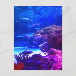 Gepersonaliseerd koraalrif briefkaart