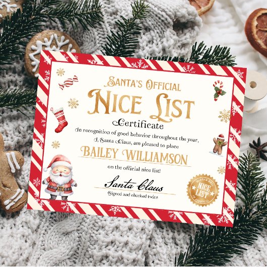 Gepersonaliseerd leuk certificaat van Sinterklaas