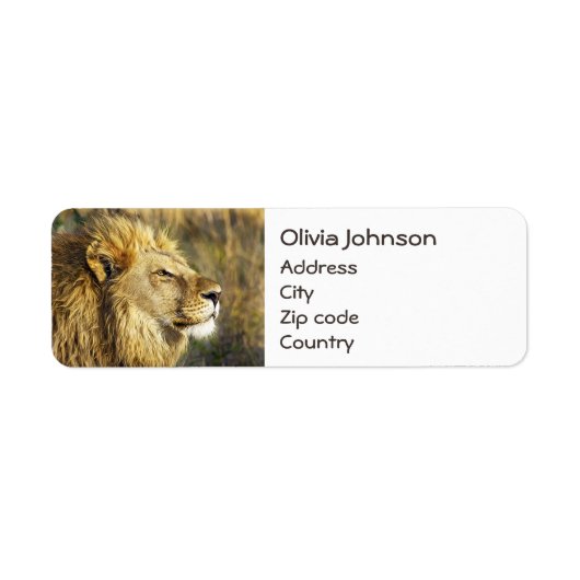 Gepersonaliseerd Lion Wild Animal Wildlife Safari Etiket (Voorkant)