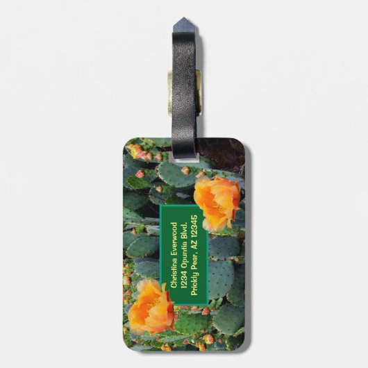 Gepersonaliseerd Monogram Sinaasappel Prickly Pear Bagagelabel (Achterkant verticaal)