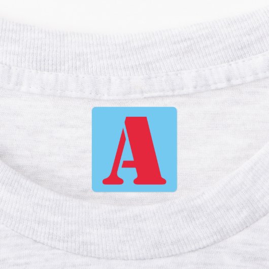 Gepersonaliseerd op maat gemaakt ijzer op patches labels (Aangebracht)