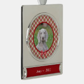 Gepersonaliseerd Ornament voor gezelschapsdieren - Verzilverd Banner Ornament (Rechts)