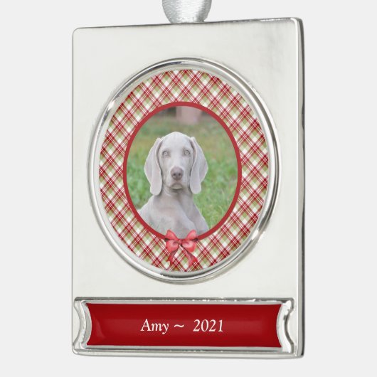 Gepersonaliseerd Ornament voor gezelschapsdieren - Verzilverd Banner Ornament (Links)