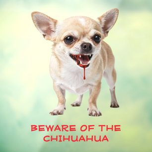 Gepersonaliseerd Pas Op Voor De Chihuahua Aggro Ge Raamsticker