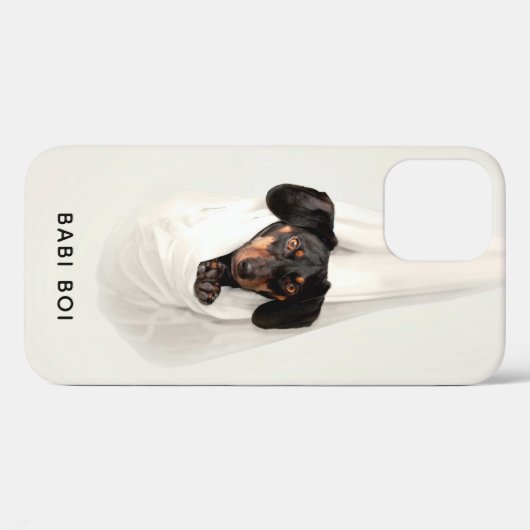 Gepersonaliseerd Pet Dog Cat iPhone / iPad case (Achterkant (horizontaal))