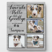 Gepersonaliseerd Pet Loss Foto Collage Pet Memoria Fotoplaat (Voorkant)