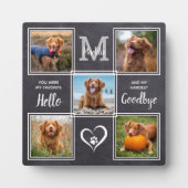 Gepersonaliseerd Pet Memorial Pet Loss Foto Collag Fotoplaat (Voorkant)