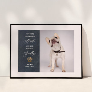 Gepersonaliseerd Pet Memorial Pet Loss Foto Collag Poster