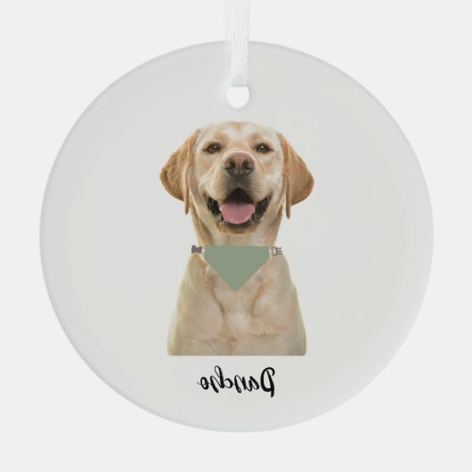 GEPERSONALISEERD PET-ORNAMENT GLAS ORNAMENT (Achterkant)
