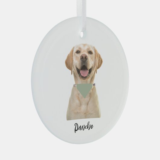 GEPERSONALISEERD PET-ORNAMENT GLAS ORNAMENT (Voorkant Rechts)