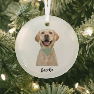 GEPERSONALISEERD PET-ORNAMENT GLAS ORNAMENT