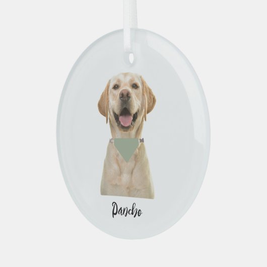 GEPERSONALISEERD PET-ORNAMENT GLAS ORNAMENT (Voorkant links)