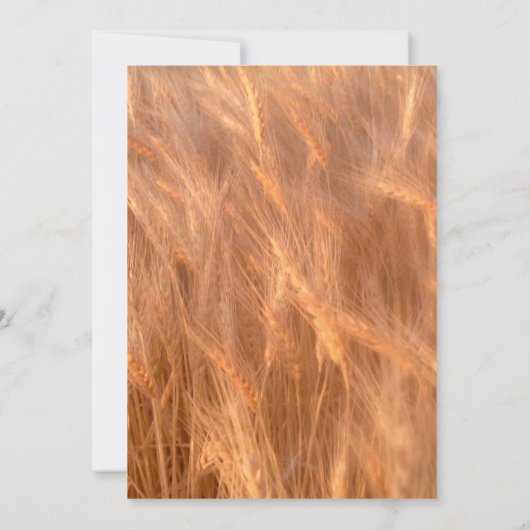 Gepersonaliseerd rustig, tarwe, huwelijksuitnodigi kaart (Achterkant)