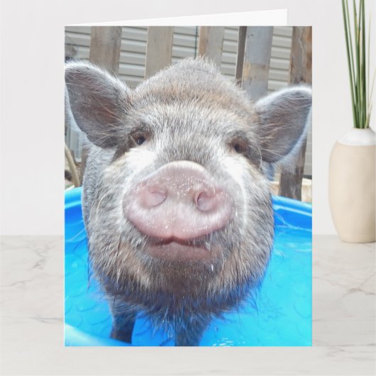 Gepersonaliseerd Schattig minivarken Wenskaart, Kaart (Voorkant)