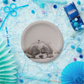 Gepersonaliseerd sjiitisch Bord, slaaphond Papieren Bordje (Feest)