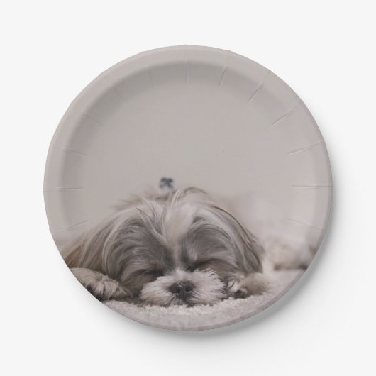 Gepersonaliseerd sjiitisch Bord, slaaphond Papieren Bordje (Voorkant)