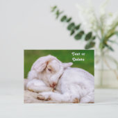 Gepersonaliseerd Sleepy Baby Geit Kind Briefkaart (Staand voorkant)