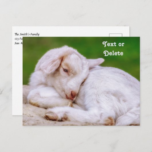 Gepersonaliseerd Sleepy Baby Geit Kind Briefkaart (Voorkant / Achterkant)