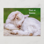 Gepersonaliseerd Sleepy Baby Geit Kind Briefkaart (Voorkant)