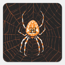 Gepersonaliseerd  Spider Black Oranje Halloween