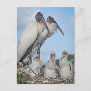 Gepersonaliseerd "Stork Family" Briefkaart