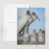 Gepersonaliseerd "Stork Family" Briefkaart (Voorkant / Achterkant)