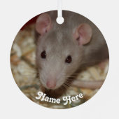 Gepersonaliseerd Tan Beige Fancy Pet Rat Metalen Ornament (Achterkant)