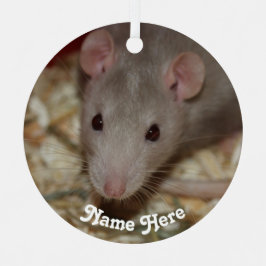 Gepersonaliseerd Tan Beige Fancy Pet Rat Metalen Ornament