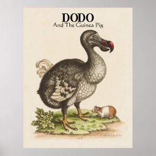 Gepersonaliseerd Titel en Ondertitel Dodo en Guine Poster