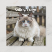 Gepersonaliseerd vierkant Visitekaartje voor catte (Voorkant)