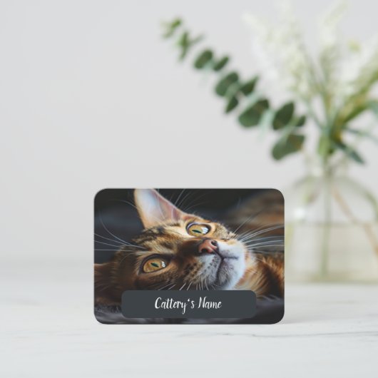 Gepersonaliseerd Visitekaartje voor Cattery Bengal Contactkaartje (Staand voorkant)