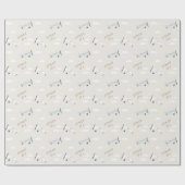 Gepersonaliseerd  Vliegtuig Jongens Verjaardag Bei Cadeaupapier (Vlak)