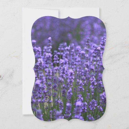 Gepersonaliseerd Vrijgezellenfeest van de Lavender Kaart (Achterkant)