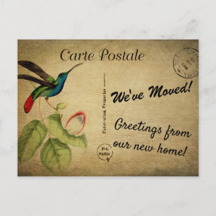 Gepersonaliseerd We hebben Aankondiging  Bird verp Briefkaart