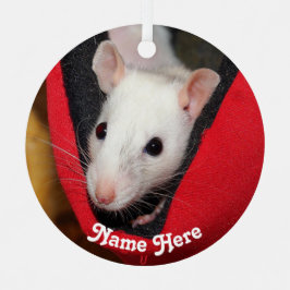 Gepersonaliseerd wit Fancy computerpark Metalen Ornament