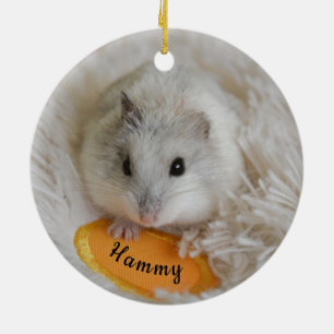 Gepersonaliseerd Witte Dwarf Hamster Pet Keramisch Ornament
