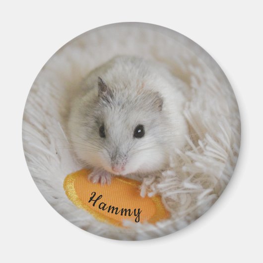Gepersonaliseerd Witte Dwarf Hamster Pet Magneet (Voorkant)