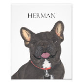 Gepersonaliseerd zwart Brindle Frenchie French Bul Foto Afdruk (Voorkant)