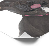 Gepersonaliseerd zwart en Tan Frenchie French Bull Foto Afdruk (Hoek)