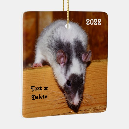 Gepersonaliseerd zwart en wit gemaskeerd computerp keramisch ornament (Rechts)