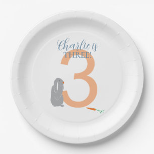 Gepersonaliseerde 3e Verjaardag Modern Grey Bunny Papieren Bordje