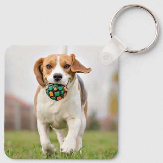 Gepersonaliseerde 4 Foto Collage Moderne Huisdier  Sleutelhanger (Achterkant)