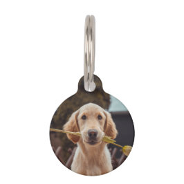 Gepersonaliseerde aangepaste foto en tekst huisdierpenning