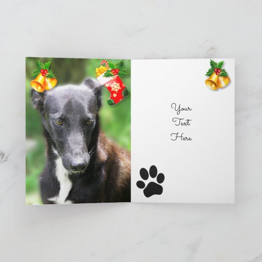 Gepersonaliseerde Aangepaste Hond Foto Kerst Kaart (Binnen)