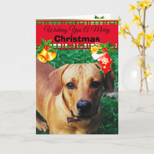 Gepersonaliseerde Aangepaste Hond Foto Kerst Kaart (Gele Bloem)