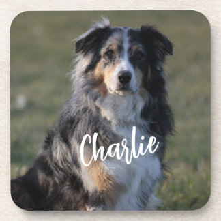 Gepersonaliseerde aangepaste hond foto kussen bier onderzetter